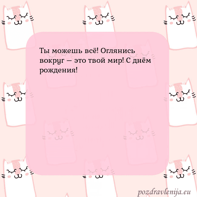 Розовая открытка с забавными кошками