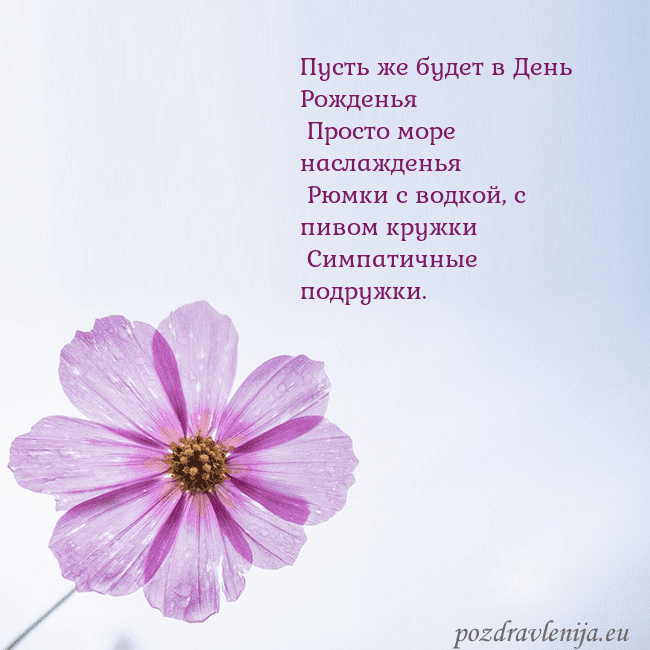 Электронная открытка с фиолетовым цветком