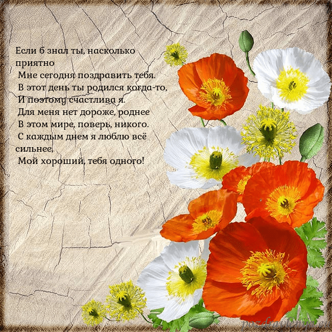 Открытка с маками