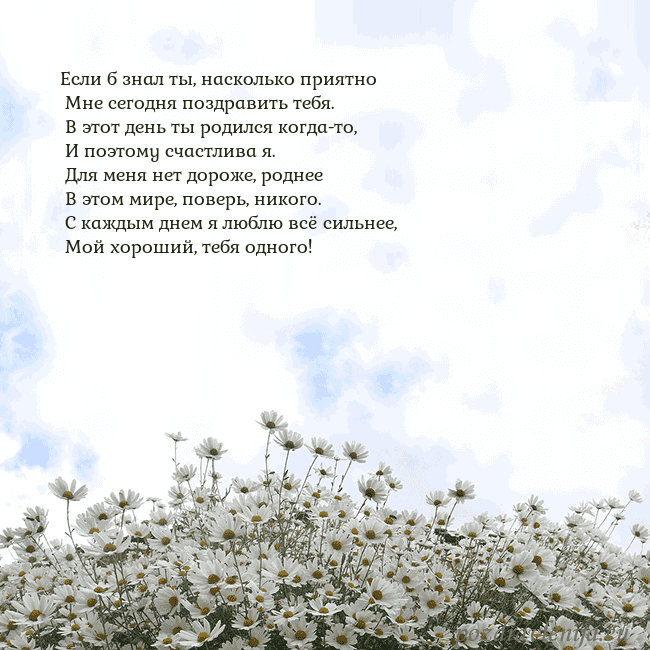 Открытка с ромашками