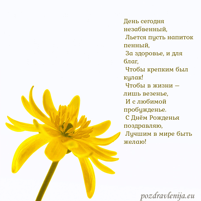 Открытка с желтым цветком