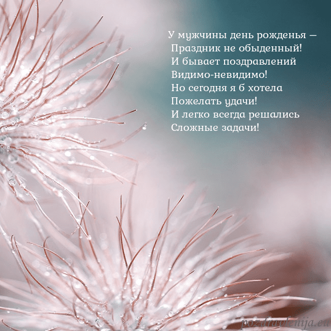 Открытка с пушистыми растениями