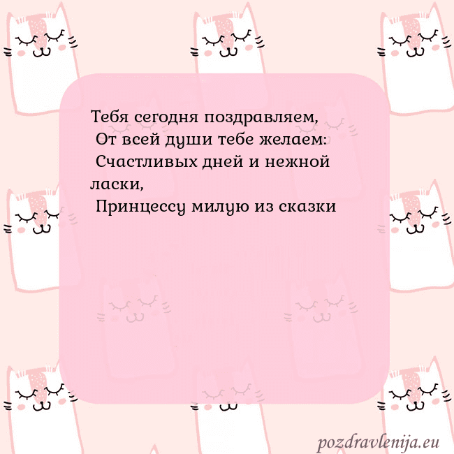 Розовая открытка с забавными кошками