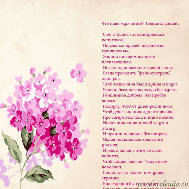 Открытка с гортензией Что надо мужчинам? Недавно узнала.
Счет в банке Открытка с гортензией