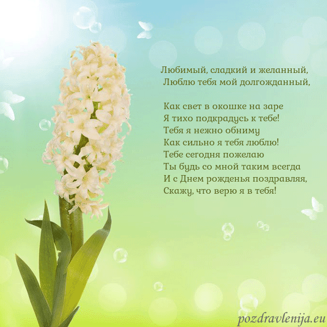 Открытка с гиацинтом