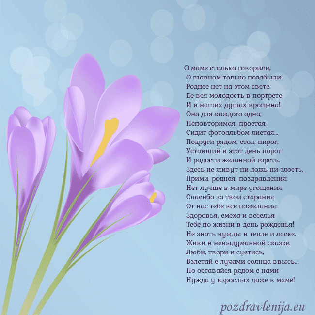 Открытка с крокусом