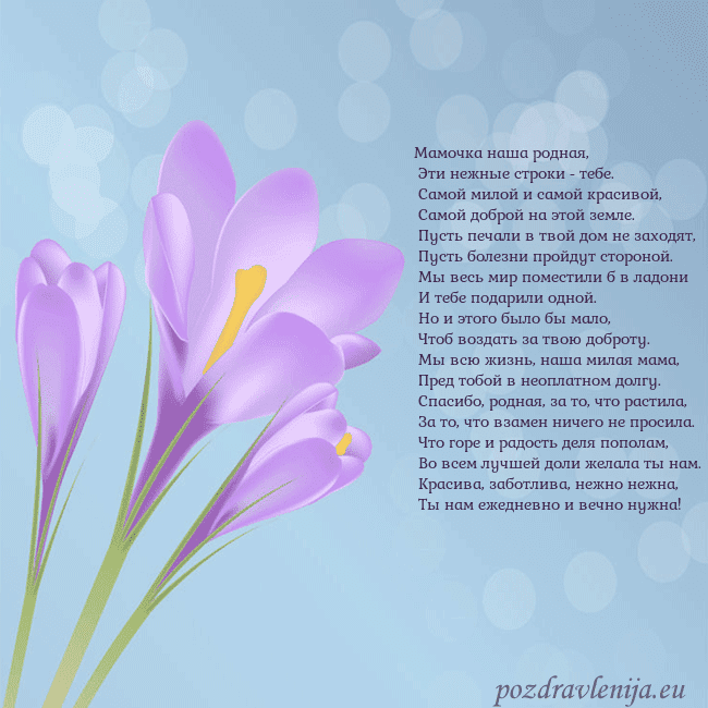 Открытка с крокусом