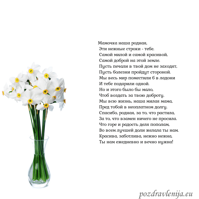 Открытка с нарциссами Мамочка наша родная,
Эти нежные строки - тебе.
Открытка с нарциссами
