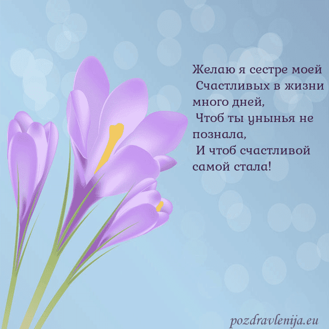 Открытка с крокусом