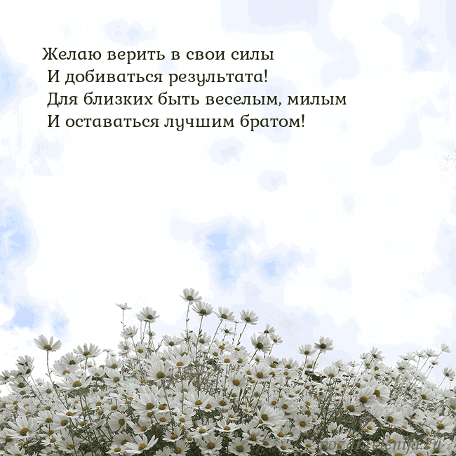 Открытка с ромашками