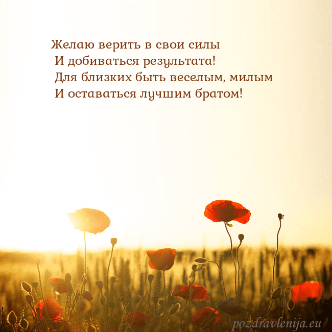 Электронная открытка с полем маков