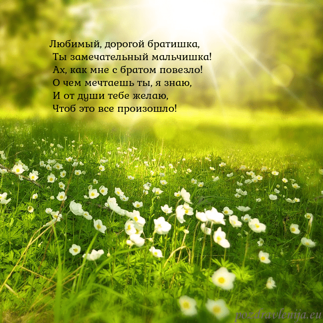 Электронная открытка с утопающим в солнечном свете лугом