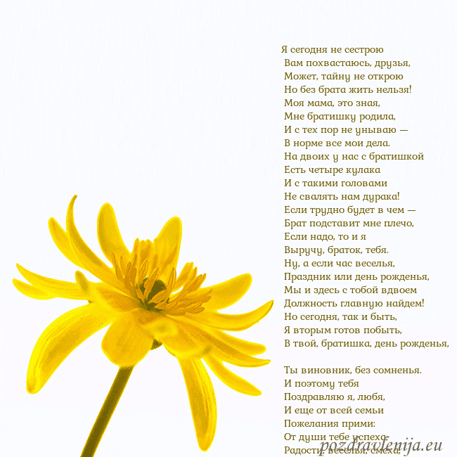 Открытка с желтым цветком