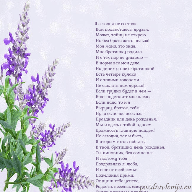 Открытка с люпинами Я сегодня не сестрою
Вам похвастаюсь, друзья,
Открытка с люпинами