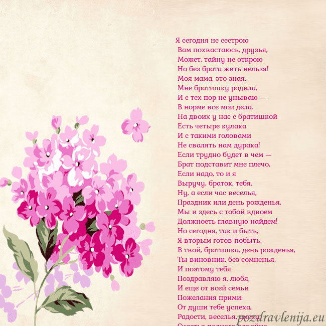 Открытка с гортензией Я сегодня не сестрою
Вам похвастаюсь, друзья,
Открытка с гортензией