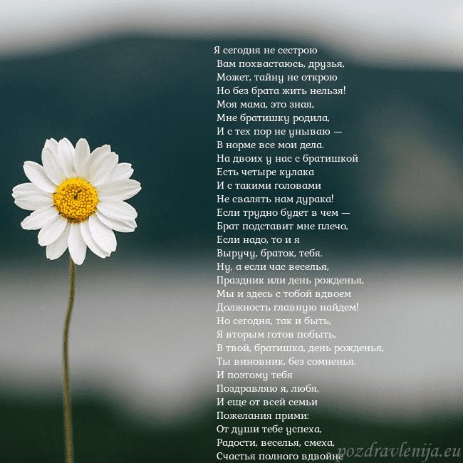 Электронная открытка с ромашкой