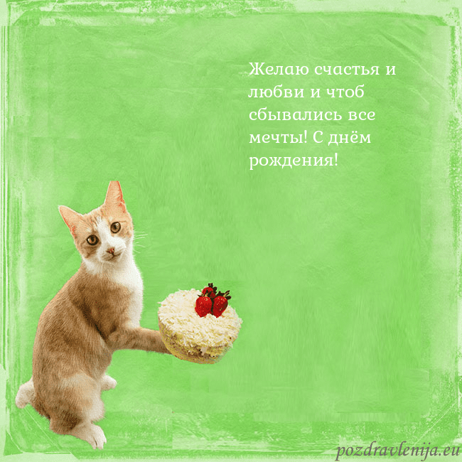 Забавная открытка на день рождения с кошкой и тортом
