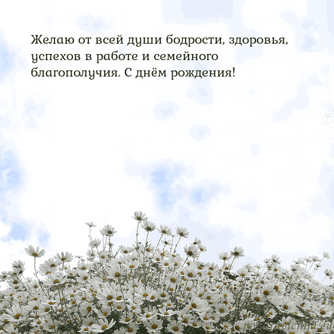 Открытка с ромашками