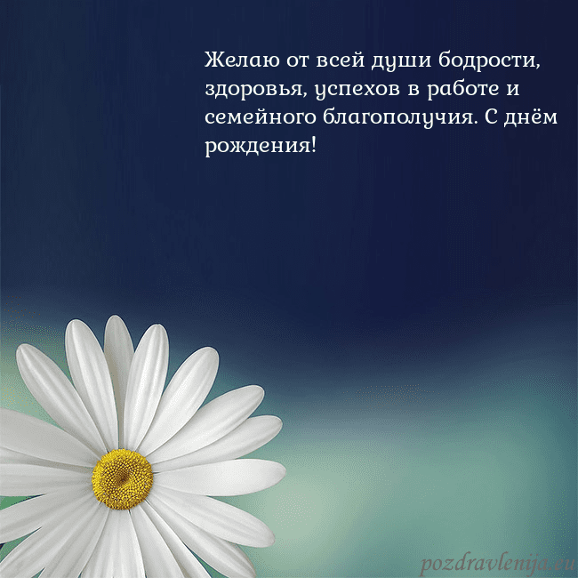 Открытка с большой ромашкой