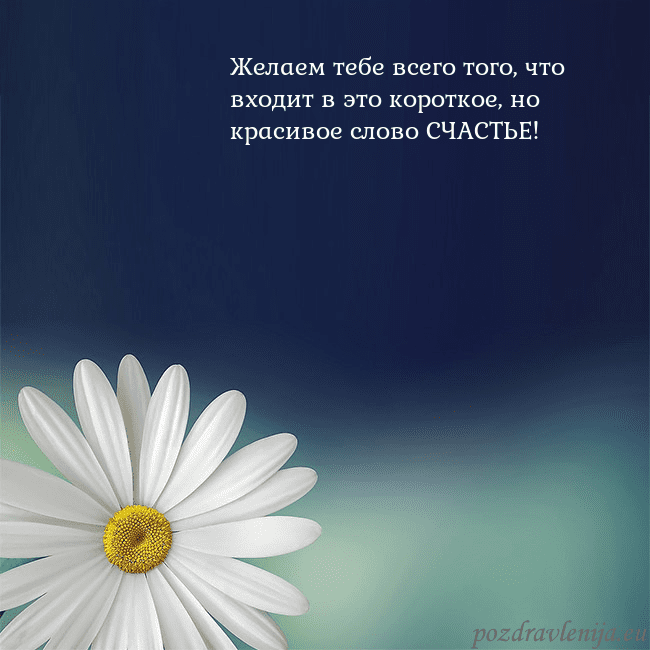 Открытка с большой ромашкой