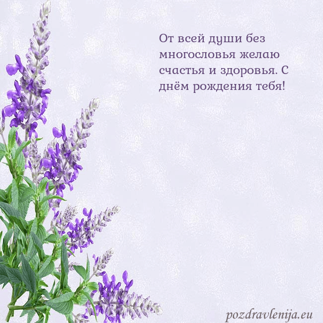 Открытка с люпинами