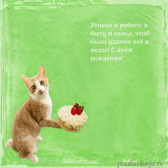 Забавная открытка на день рождения с кошкой и тортом