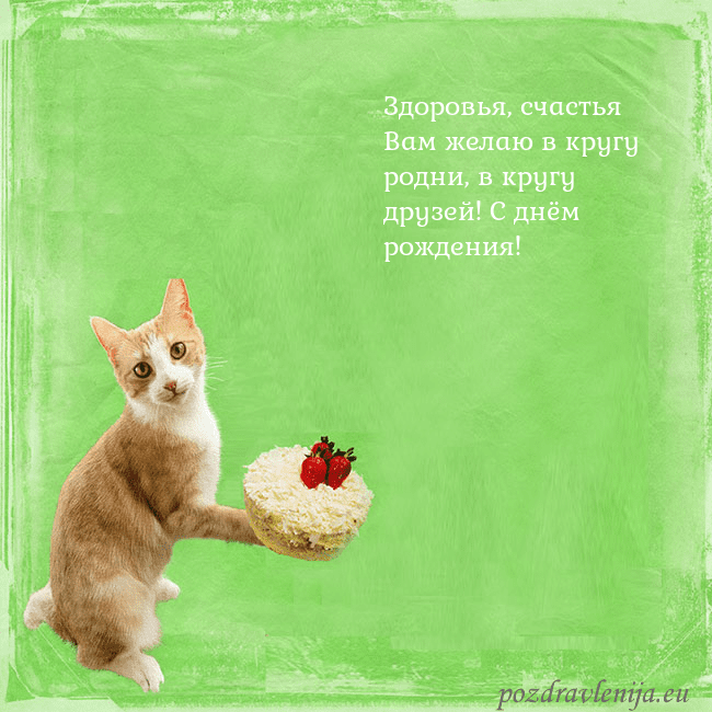 Забавная открытка на день рождения с кошкой и тортом