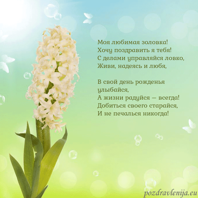 Открытка с гиацинтом