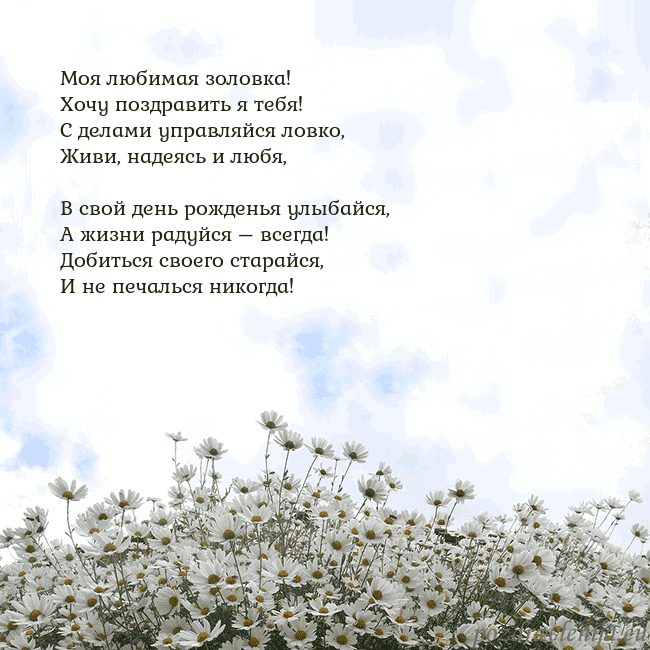 Открытка с ромашками