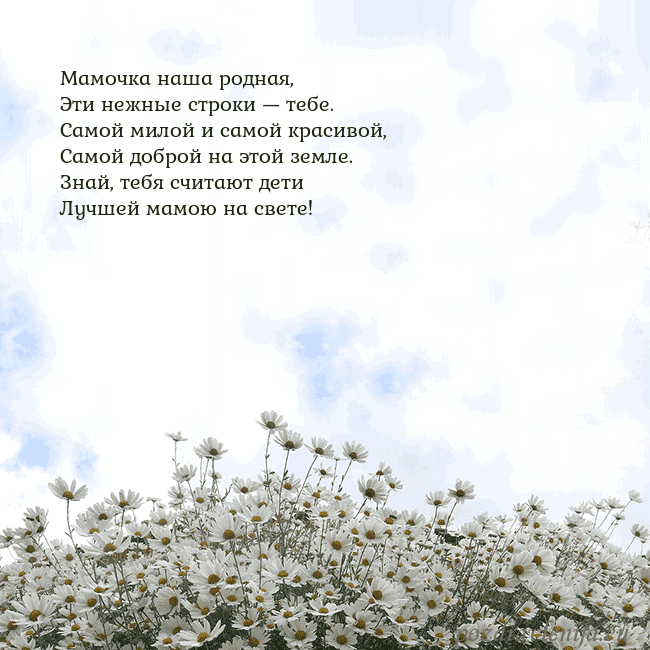 Открытка с ромашками