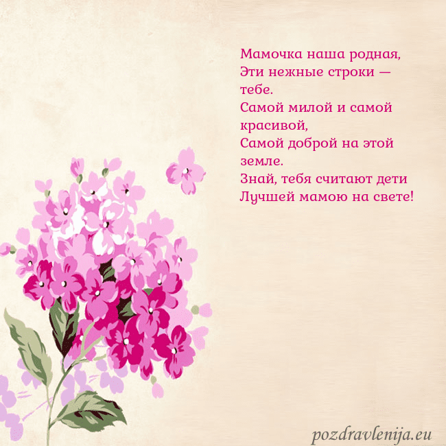 Открытка с гортензией