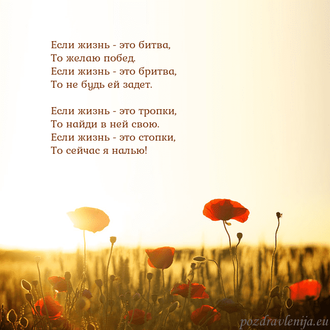 Электронная открытка с полем маков