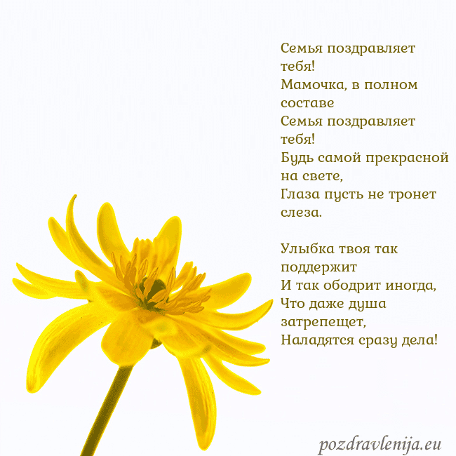 Открытка с желтым цветком