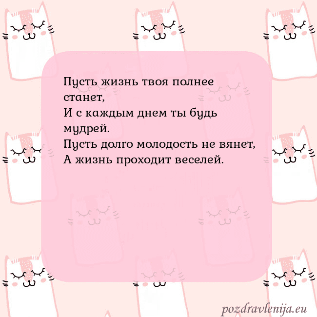 Розовая открытка с забавными кошками