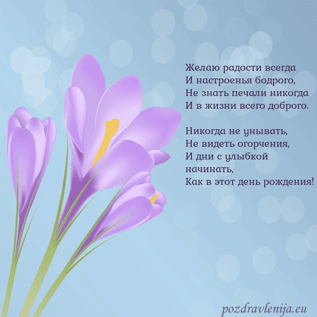 Открытка с крокусом