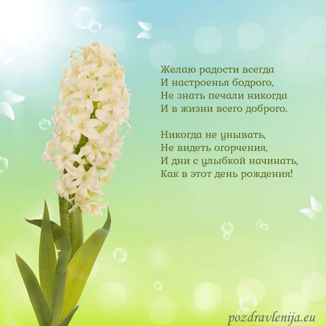 Открытка с гиацинтом