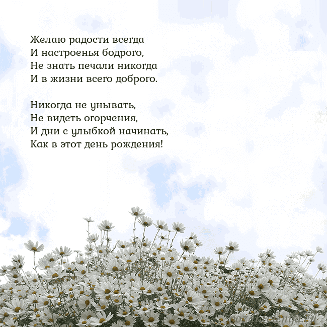 Открытка с ромашками