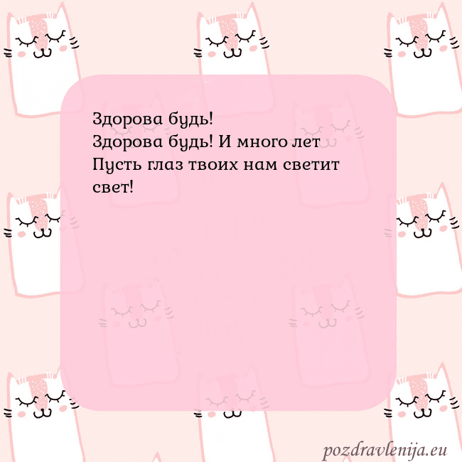 Розовая открытка с забавными кошками