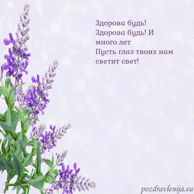 Открытка с люпинами