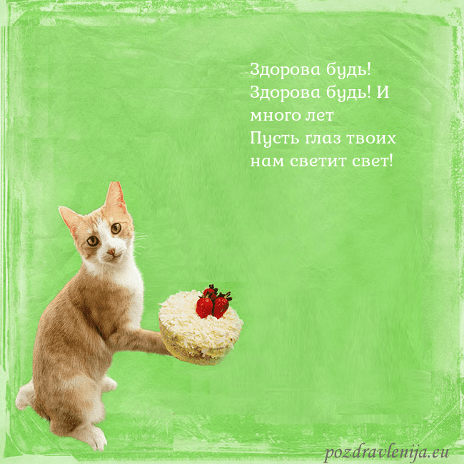 Забавная открытка на день рождения с кошкой и тортом