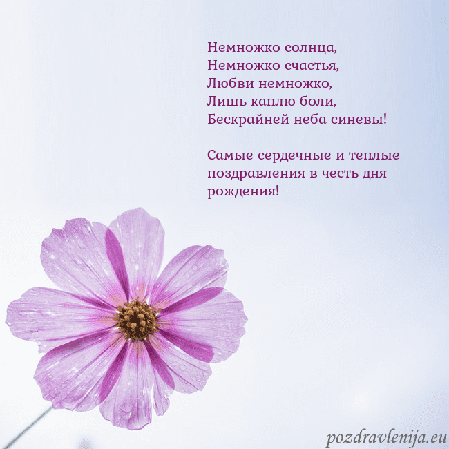 Электронная открытка с фиолетовым цветком