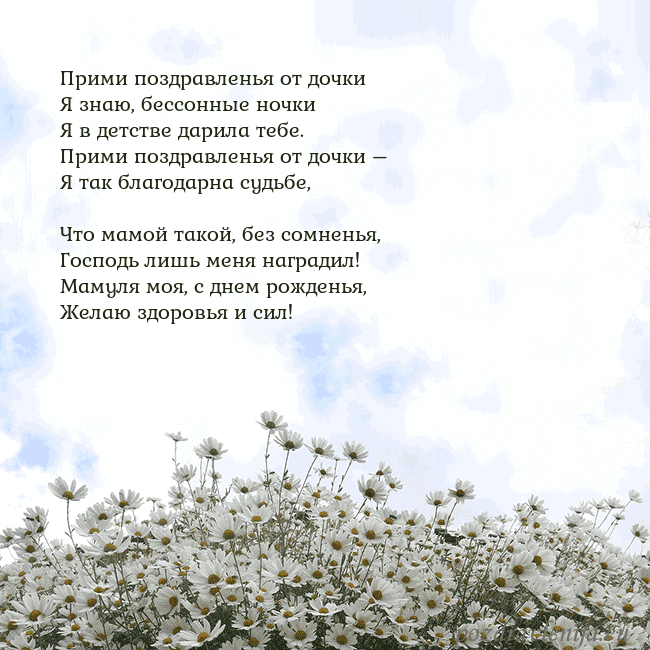 Открытка с ромашками