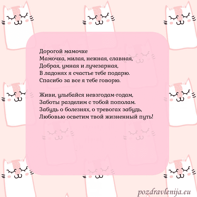 Розовая открытка с забавными кошками