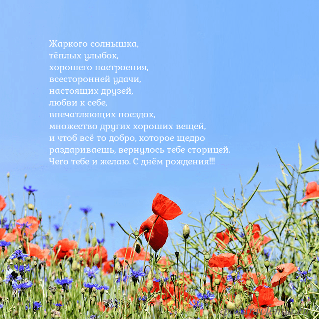 Открытка с маками