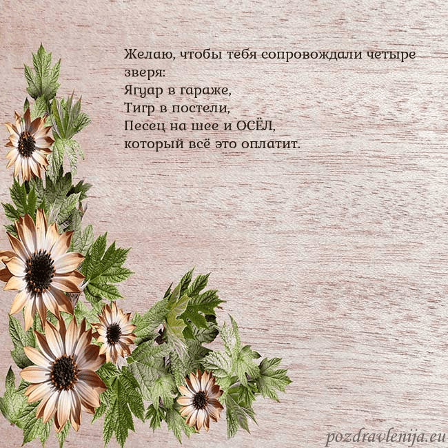 Уютная открытка с цветами
