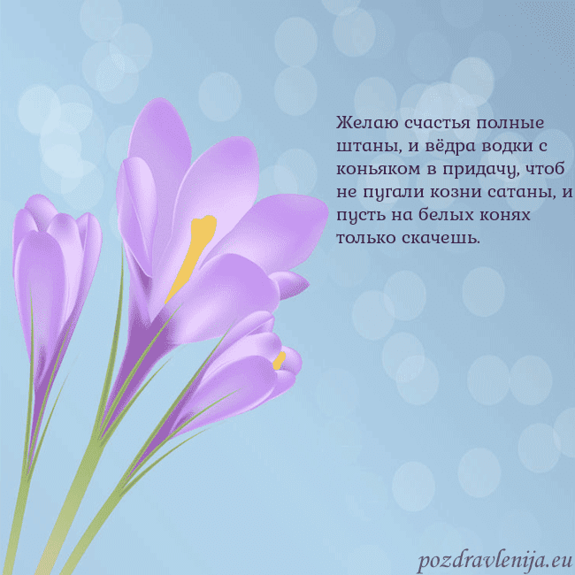 Открытка с крокусом