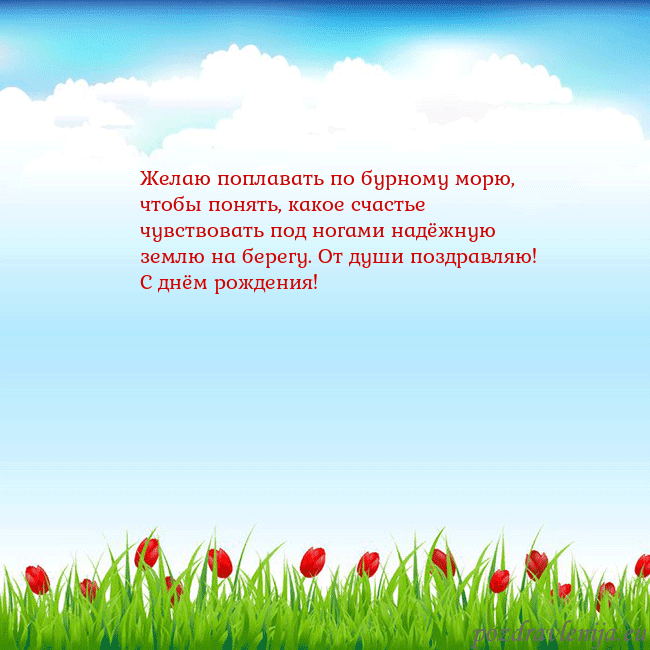 Открытка с тюльпанами