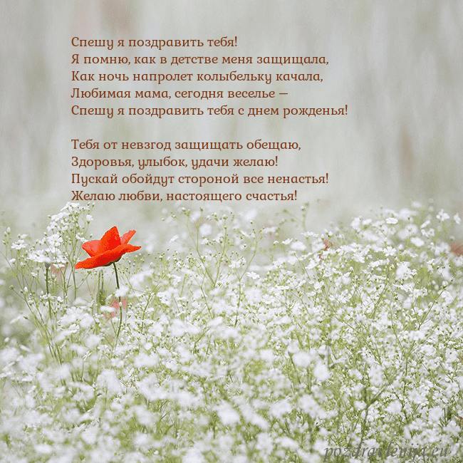 Электронная открытка с белыми цветами