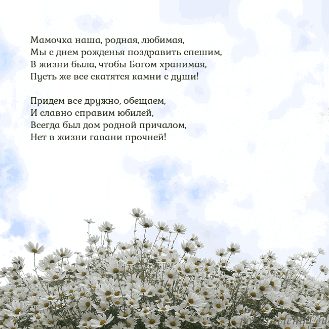 Открытка с ромашками