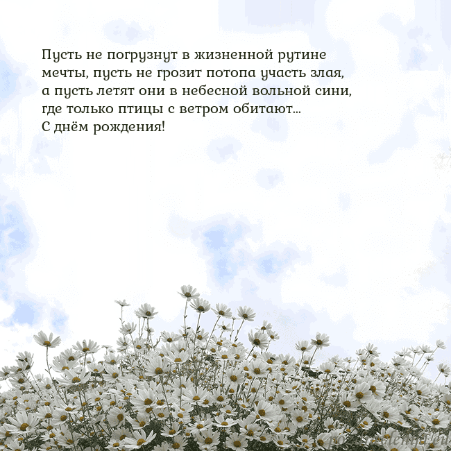 Открытка с ромашками